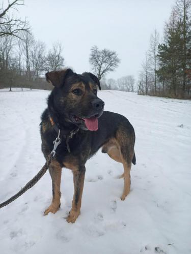 473573502_422108340896297_2774729495827259580_n