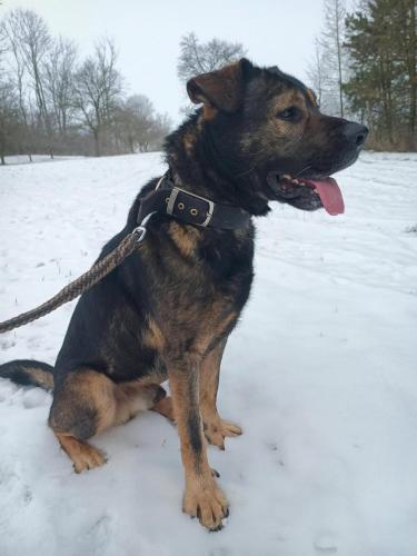 473663678_7230687850388481_8320445556671106235_n