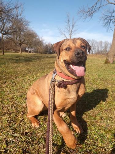 473831861_958984146193960_5260235434889891510_n