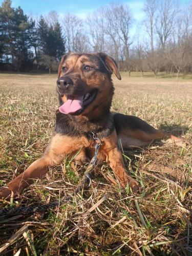 474488034_544364071987154_1360540936302726869_n