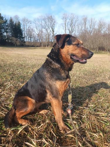 474745478_1145687150898693_2950268557340369219_n