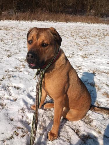 474766753_1177242363761937_954023125528662814_n