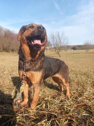 474800275_643770478046969_2535133578091976999_n