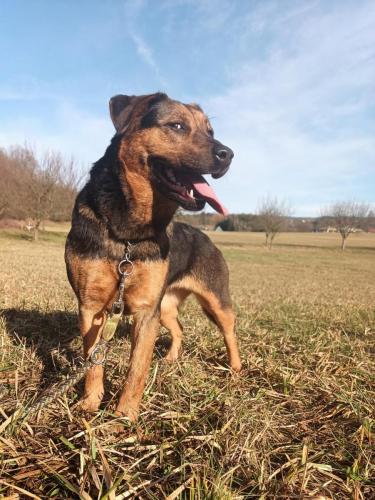 474810863_4191326687814596_60218022502371527_n