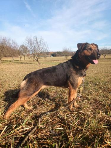 474861605_632638809126942_2884569216687025845_n