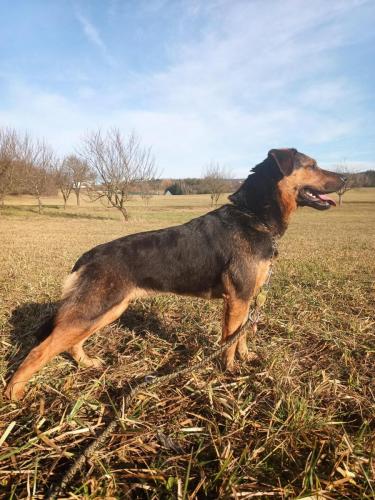 474953695_1196248298735794_8831233929300072281_n