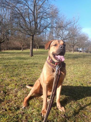 475045528_600525699267073_2127411613855088536_n