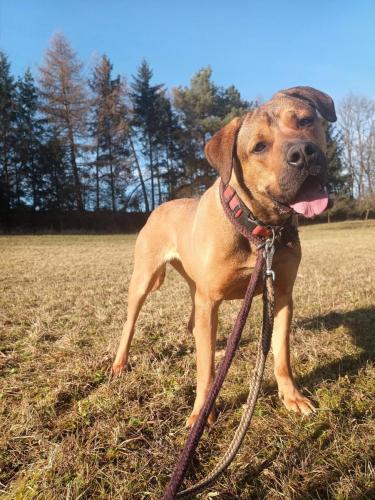 475132520_1682852765945110_913433492558220713_n