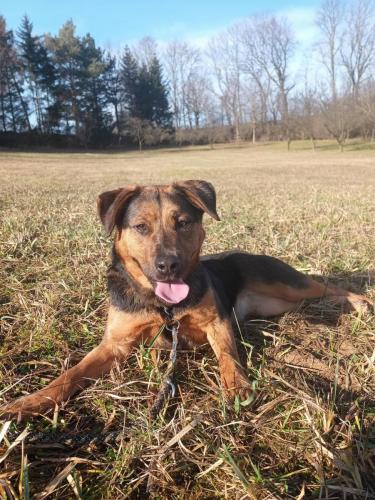 475162760_1077822867480101_8074749204603868159_n