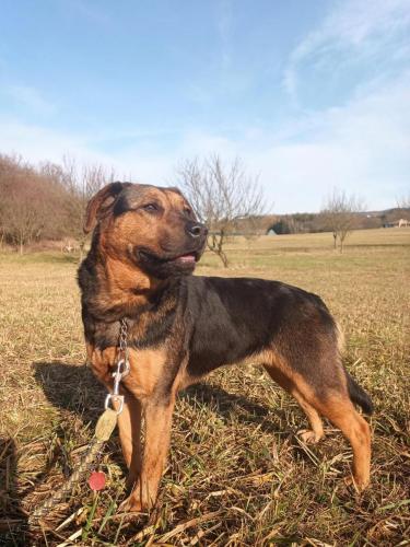 475537573_856606319830840_1944794255762596108_n