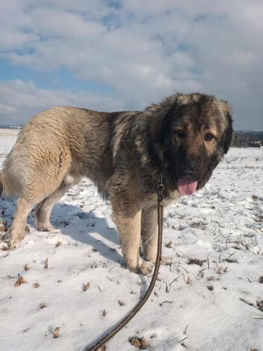 476712635_647994224574810_6580570963375447049_n