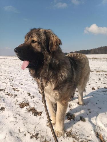 476876672_549532551473618_6818669845014687117_n