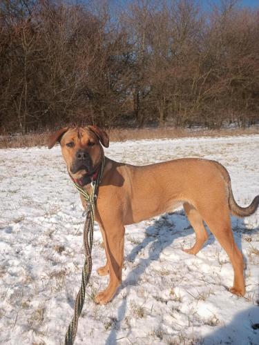 476891131_1802158313852180_5477340618619496146_n