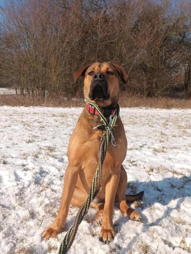 476902950_1675295663077459_1091564818106392131_n