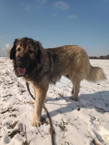 476913720_1308980070345151_4735078991149133495_n