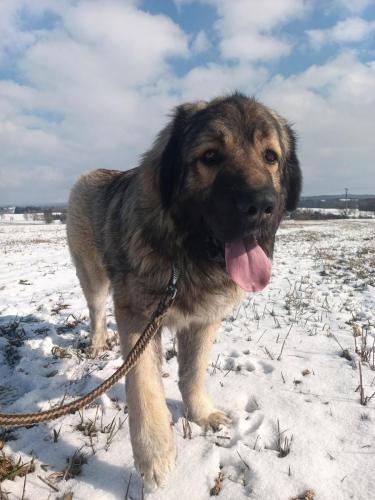 479156710_497074813439309_3387874454224460970_n