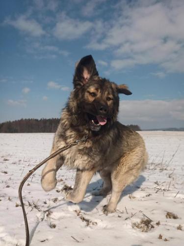 479208073_603976255948128_7028659784646100739_n