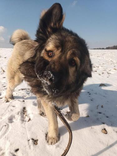 479538184_1302083837509042_3194206116142065743_n