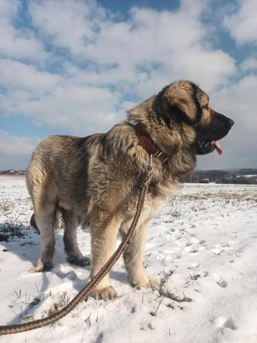 479540454_1598203564904185_321299561276551497_n