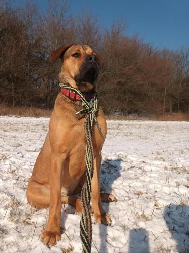 479659475_616114367679181_1570270528396573890_n