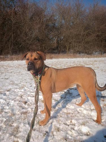 479668757_1311488743514175_8243607976295833142_n