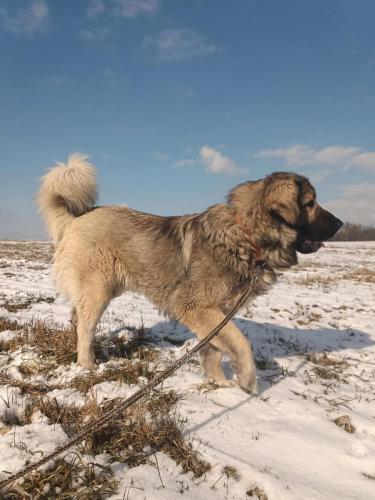 480051010_659766889809929_2108608195969211533_n