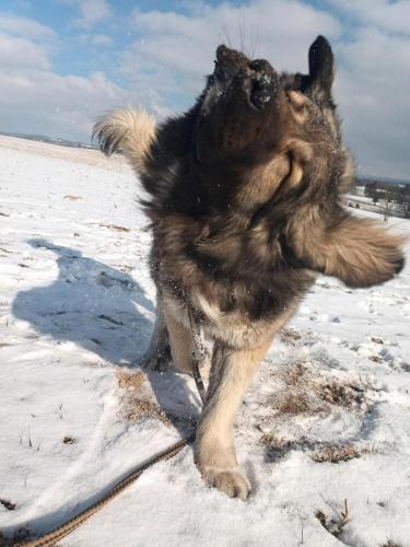 480202888_8908610882597595_6482464698793232849_n