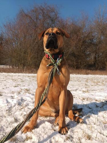 480422475_661752859751926_5118135471377898503_n