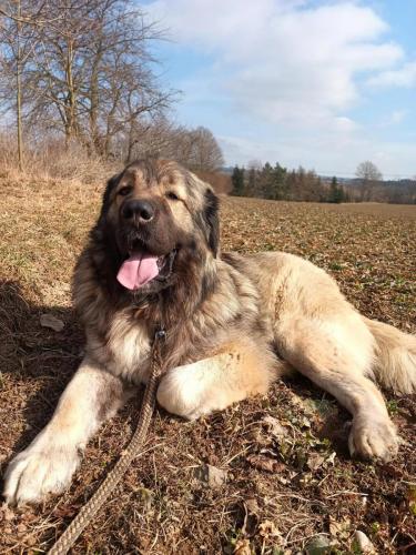 481829875_1986075988542924_563998887222596492_n