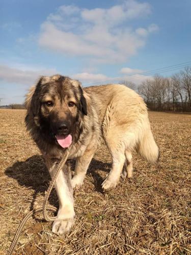 481890715_631829956306834_4819628184484965611_n