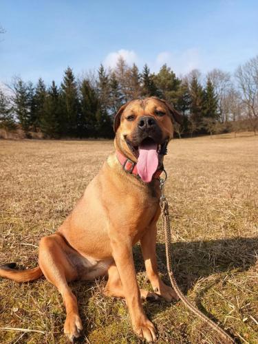 482188376_1172674680900131_4702603114691878234_n