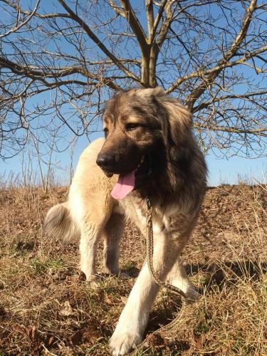 482206741_622169467120782_5127022995073011843_n