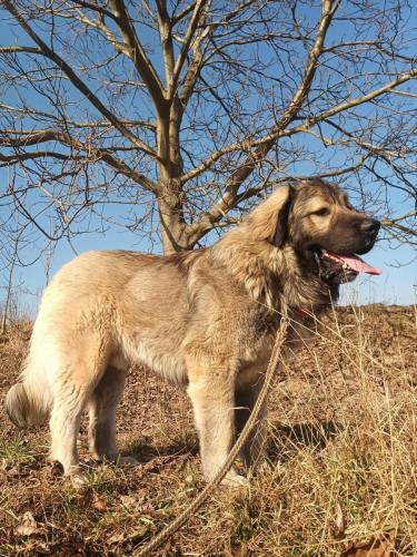 482231215_1327166468551430_6093438363263026671_n