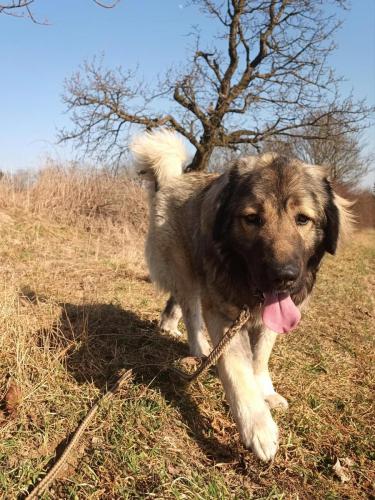 482274282_1548122575881386_1541120314237454422_n