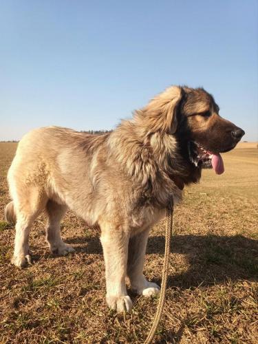 482606992_1166576848292317_8269997554504202878_n