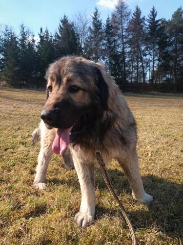 484164264_523895647424248_6829900290998033857_n