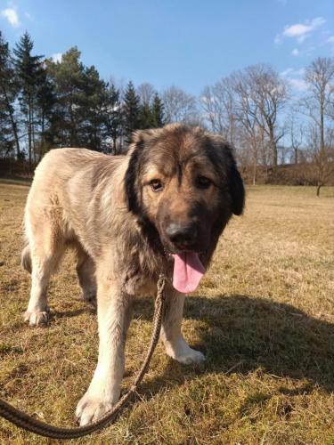 484313720_542075091783350_3567905420944754622_n