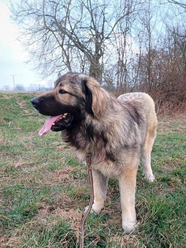 485034155_2465980223752561_5720016537489896624_n