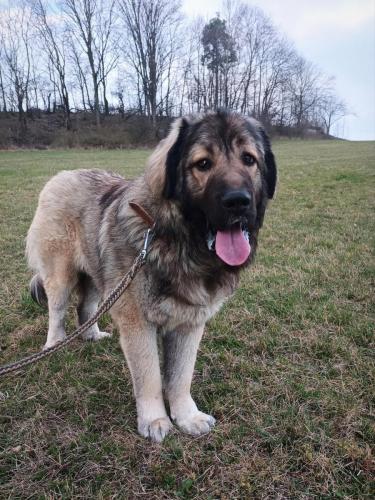 485049303_1001452748581717_1992349353914493122_n