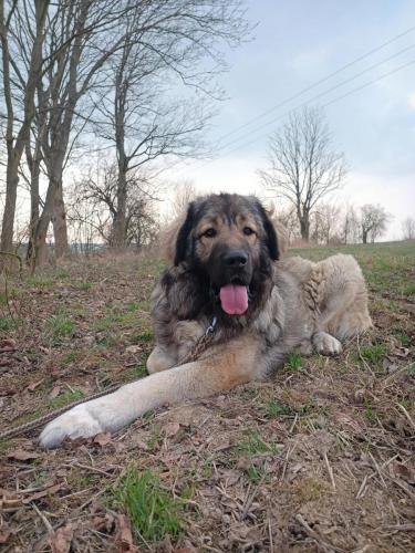 486616661_1191864132562582_2565673496227361977_n