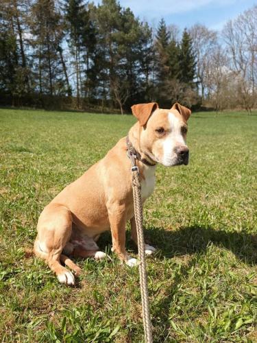 487924739_3861592190770906_3235205818452056681_n