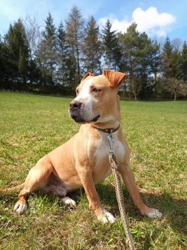 488574363_523160537309159_8020954407241661896_n