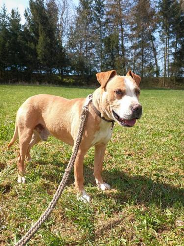 488580677_1398431408270894_3238499805701322345_n