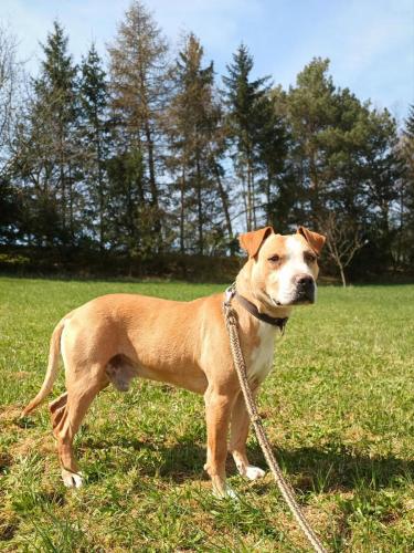 488583070_1554422778567889_3090615992650781628_n