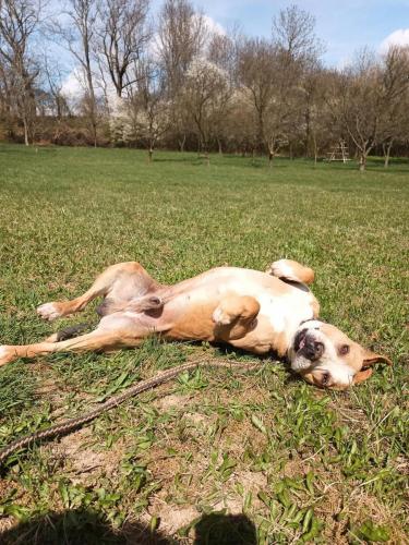 488583748_435430966327948_8818379962306824110_n