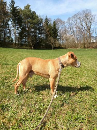 488589047_1785386102009752_5343477380815659951_n