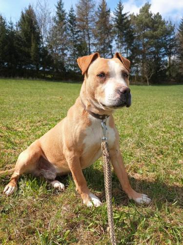 488640849_23924334320486416_4146742231573988003_n