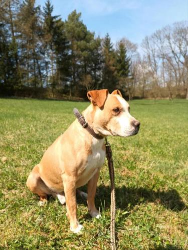 488808127_1736779260529003_1095388377774418032_n