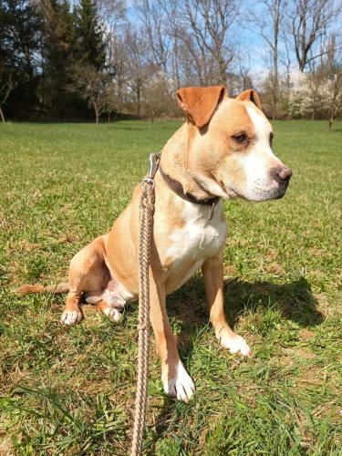 488933884_9605398586182152_807543532685185148_n