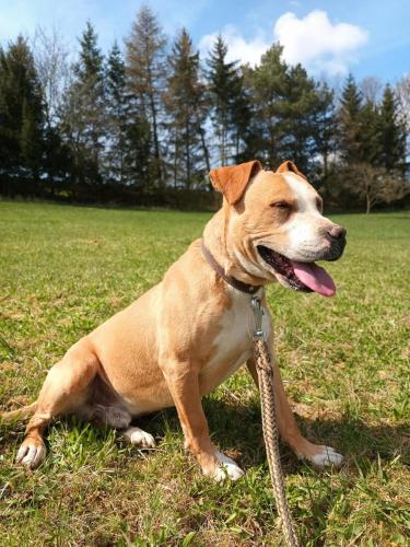 489028794_667972856195928_7016947734812354050_n